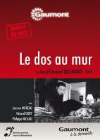 dvd_ldam.jpg